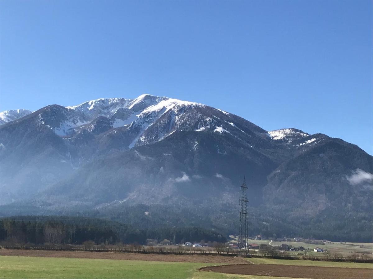 V Gemuetliches Gartenhaus Smihel nad Pliberkom Екстериор снимка